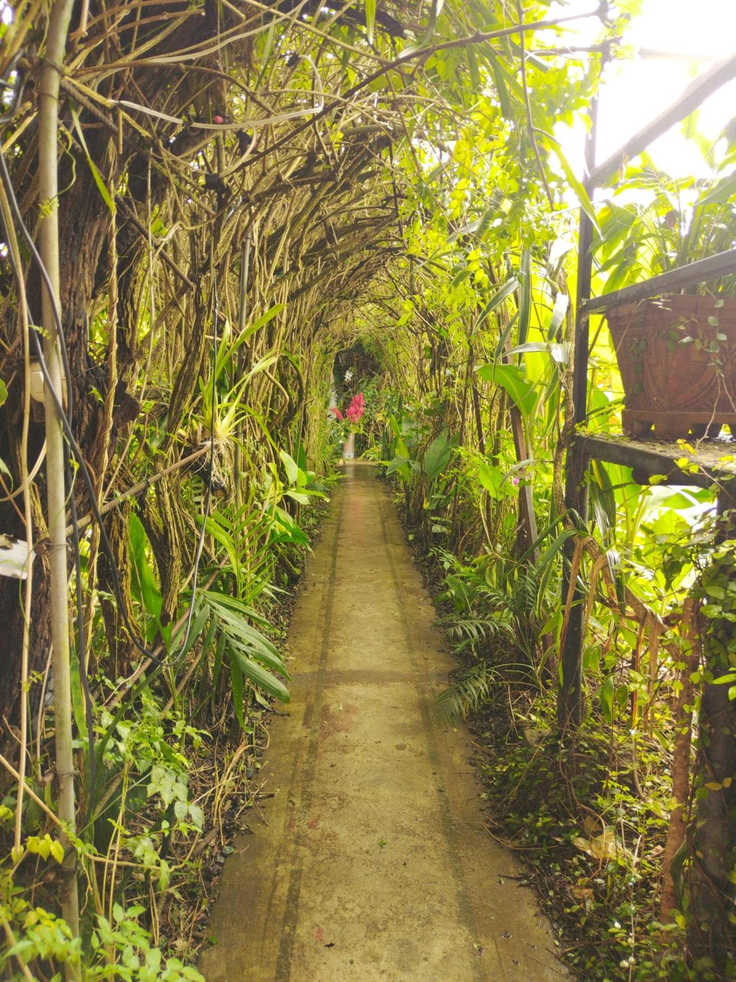 Hotel Casa Chapultepec Cobán エクステリア 写真